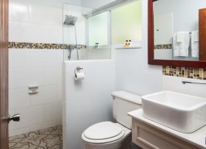 Standard Room Bathroom 2